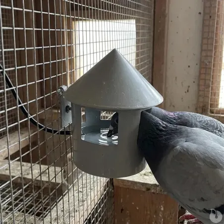 Abreuvoir à grit automatique pour pigeons - Ø 22 cm
