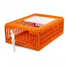 Cage transport démontable pour volailles et rongeurs 77x58x29cm