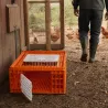 Cage transport démontable pour volailles et rongeurs 77x58x29cm