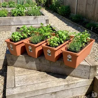 Lot de 4 balconnières Elho® 50x16cm effet terre cuite