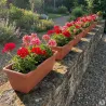 Balconnières Elho® x8 - 50cm effet terre cuite élégant