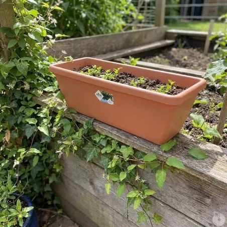 Balconnières Elho® x8 - 50cm effet terre cuite élégant