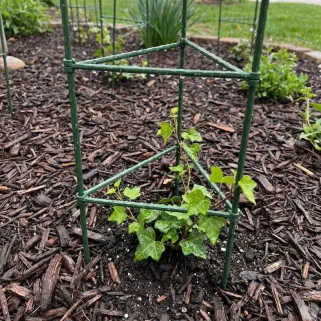 Treillis autoportant vert 110 cm pour plantes grimpantes