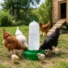 Abreuvoir profond 12L pour volailles et pigeons