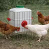 Mangeoire 15 kg à réservoir - Anti-gaspi et durable