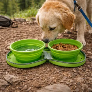 Gamelle chien voyage silicone 700ml rétractable à zip