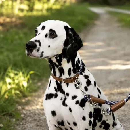 Collier chien en corde ajustable 45-65 cm - style cuir