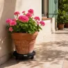 Support plante rotatif ajustable 360° - 100 kg