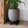 Support plante rotatif ajustable 360° - 100 kg