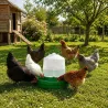 Abreuvoir profond 8,5L pour volailles et pigeons