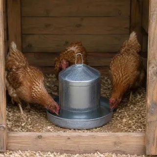 Abreuvoir galvanisé 8L pour poules - Double paroi GAUN