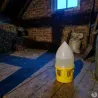 Lot de 5 abreuvoirs siphoïdes 5L pour pigeons - RIVER