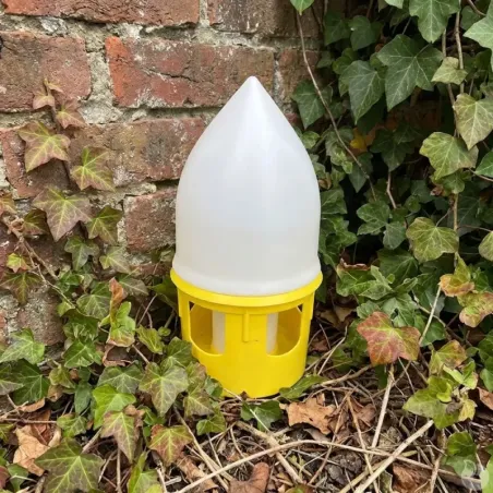 Lot de 5 abreuvoirs siphoïdes 5L pour pigeons - RIVER