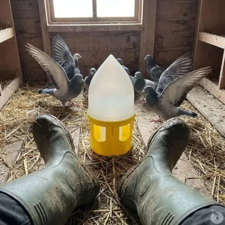 Lot de 5 abreuvoirs siphoïdes 5L pour pigeons - RIVER