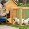 Poulailler 3 poules bois + enclos sécurisé toit plastique