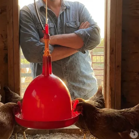Abreuvoir automatique suspendu pour volailles 60L