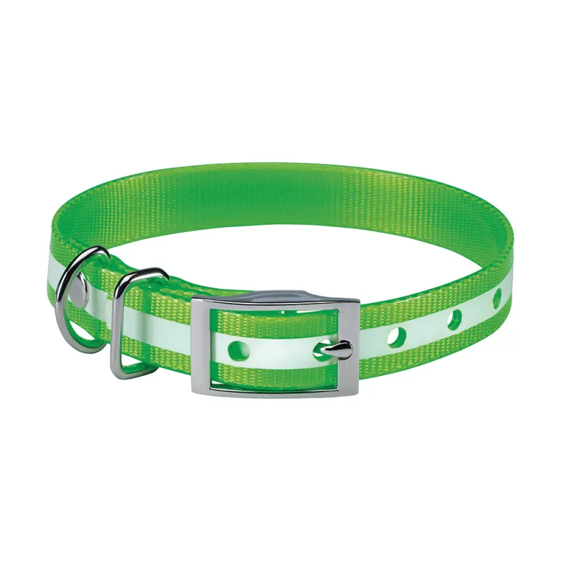 Collier chien phosphorescent vert 45 cm - Sécurité nocturne