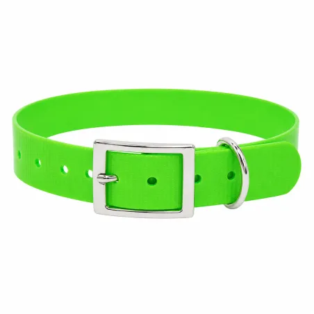 Collier fluo BIOGOLD pour chien - 4 couleurs résistantes