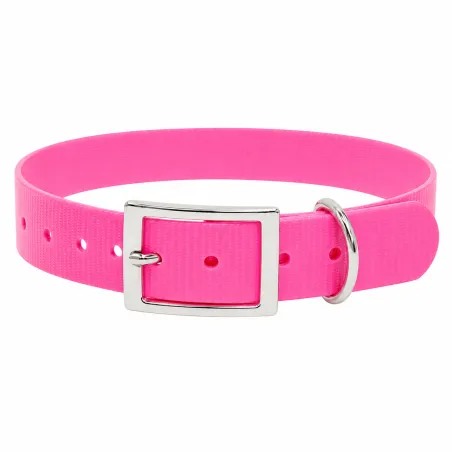 Collier fluo BIOGOLD pour chien - 4 couleurs résistantes