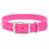 Collier fluo BIOGOLD pour chien - 4 couleurs résistantes