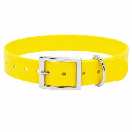 Collier fluo BIOGOLD pour chien - 4 couleurs résistantes