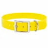 Collier fluo BIOGOLD pour chien - 4 couleurs résistantes