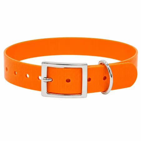 Collier fluo BIOGOLD pour chien - 4 couleurs résistantes