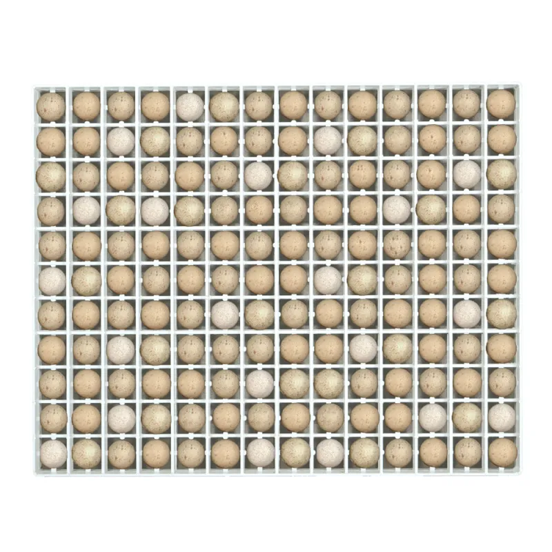 Panier incubation 154 œufs perdrix - Modèle TR154