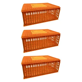 3 caisses transport volailles - robustes et empilables