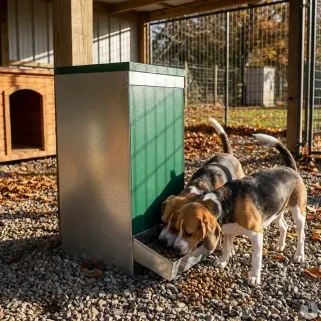 Mangeoire Smart 15 kg GAUN pour chiens - Anti-gaspi