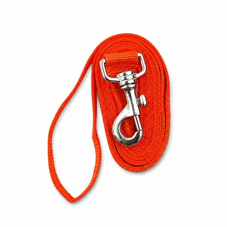 Laisse pour chien 1,5 m orange - 25 mm de large