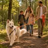 Longe extensible 5m pour chien - Couleur orange vif