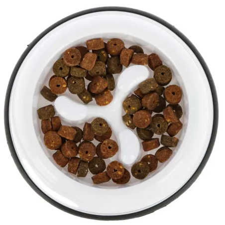 Gamelle anti-glouton en plastique pour chiens