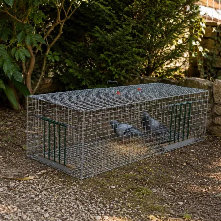 Piège à pigeons 100x40x30 cm - Capture efficace