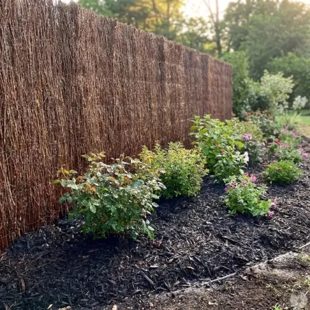 Brande de bruyère naturelle Largeur 3 m Hauteur 1.8 m - occultant 