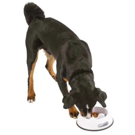 Gamelle anti-glouton en plastique pour chiens