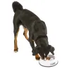 Gamelle anti-glouton en plastique pour chiens