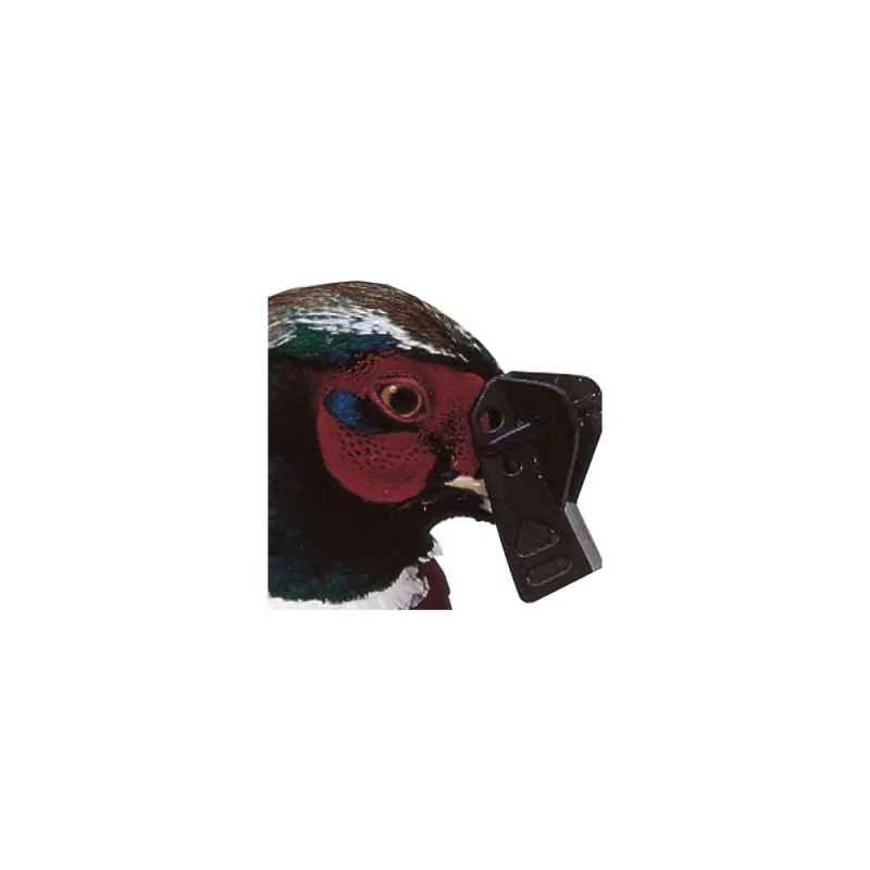 Lot de 5 ou 100 Speed-bec antipicage grand modèle