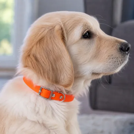 Collier Biogold pour chiots et petits chiens - 3 couleurs