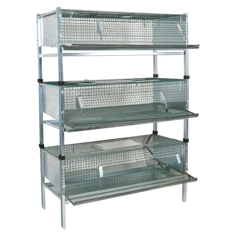 Kit 3 cages compactes pour cailles pondeuses 100x50x180cm