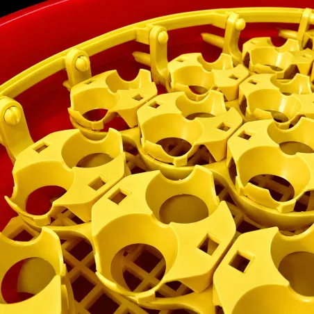 Adaptateurs pour œufs de caille - Lot de 51 pièces
