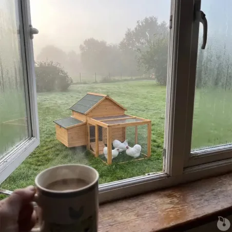 Enclos bois sécurisé pour poules 80x75x60 cm