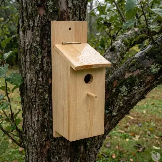 Kit nichoir en bois à assembler - Activité ludique