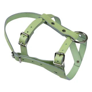 Licol cuir réglable pour mouton et bélier - 55 caractères