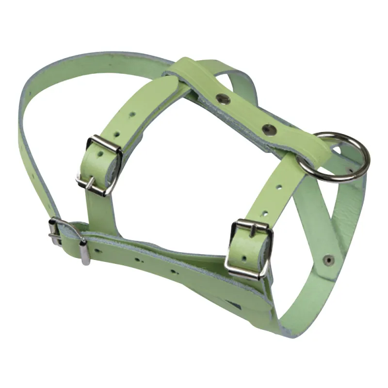 Licol cuir réglable pour mouton et bélier - 55 caractères