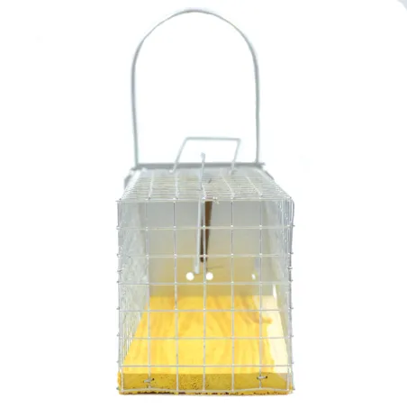 Piège cage à rat double entrée 235x80x100 mm anti-nuisibles