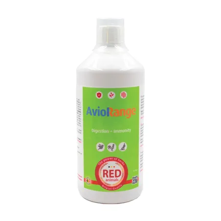 Kit mangeoire 12 kg + abreuvoir 11 L pour volailles