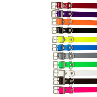 Collier Biogold pour chiots et petits chiens - 3 couleurs