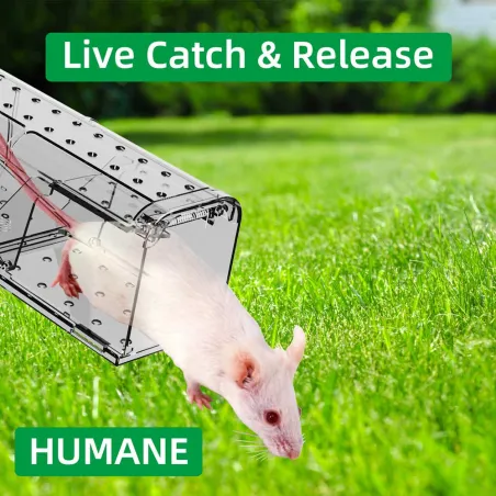Lot de 2 cages à souris résistantes en plastique aéré