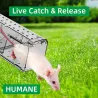 Lot de 2 cages à souris résistantes en plastique aéré